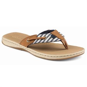 sperry women's seafish thong sandals